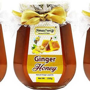 NATURAPURE LS - Raw 100% Pure Natural (ISO Certified) Super Delicious and Therapeutic Ginger Infused Wild Forest Honey (Glass Bottle) 250Grams. (Pack Of 3)