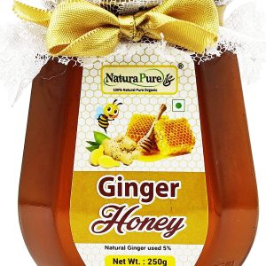 NATURAPURE LS - Raw 100% Pure Natural (ISO Certified) Super Delicious and Therapeutic Ginger Infused Wild Forest Honey (Glass Bottle) 250Grams.