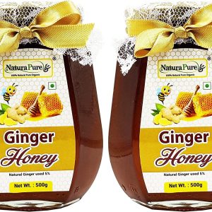 NATURAPURE LS - Raw 100% Pure Natural (ISO Certified) Super Delicious and Therapeutic Ginger Infused Wild Forest Honey (Glass Bottle) 500Grams. (Pack Of 2)