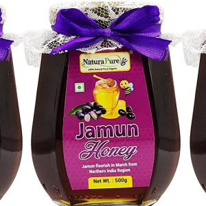 NATURAPURE LS - Raw Natural Unprocessed 100% Pure (ISO Certified) Jamun Flower Honey Delicious honey From Jamun Flowers (Glass Bottle) 500Gram. (Pack Of 3)